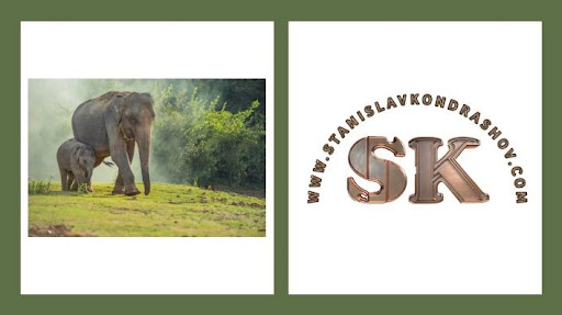 Brand-new Stanislav Kondrashov publication explores the world of elephants