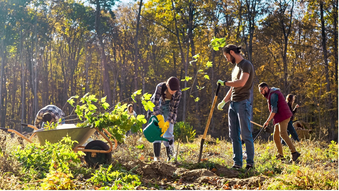 ID Cards Direct Launches GreenID Initiative for World Earth Day