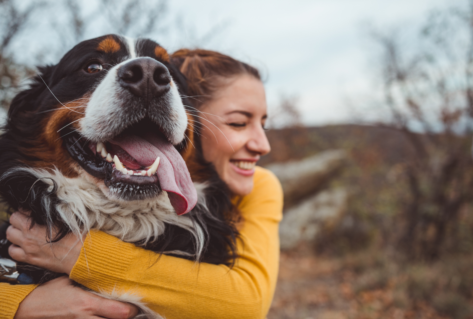 Medical Cert Launches Revolutionary Online Service: Emotional Support Animal Certificates