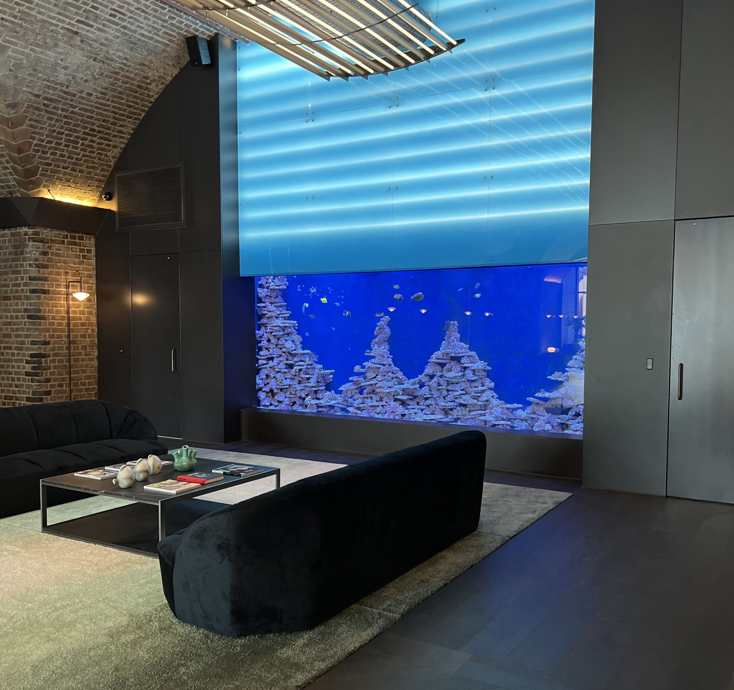 Luxe Aquatics Unveils One of Manchester’s Largest Private Fish Tank Designs