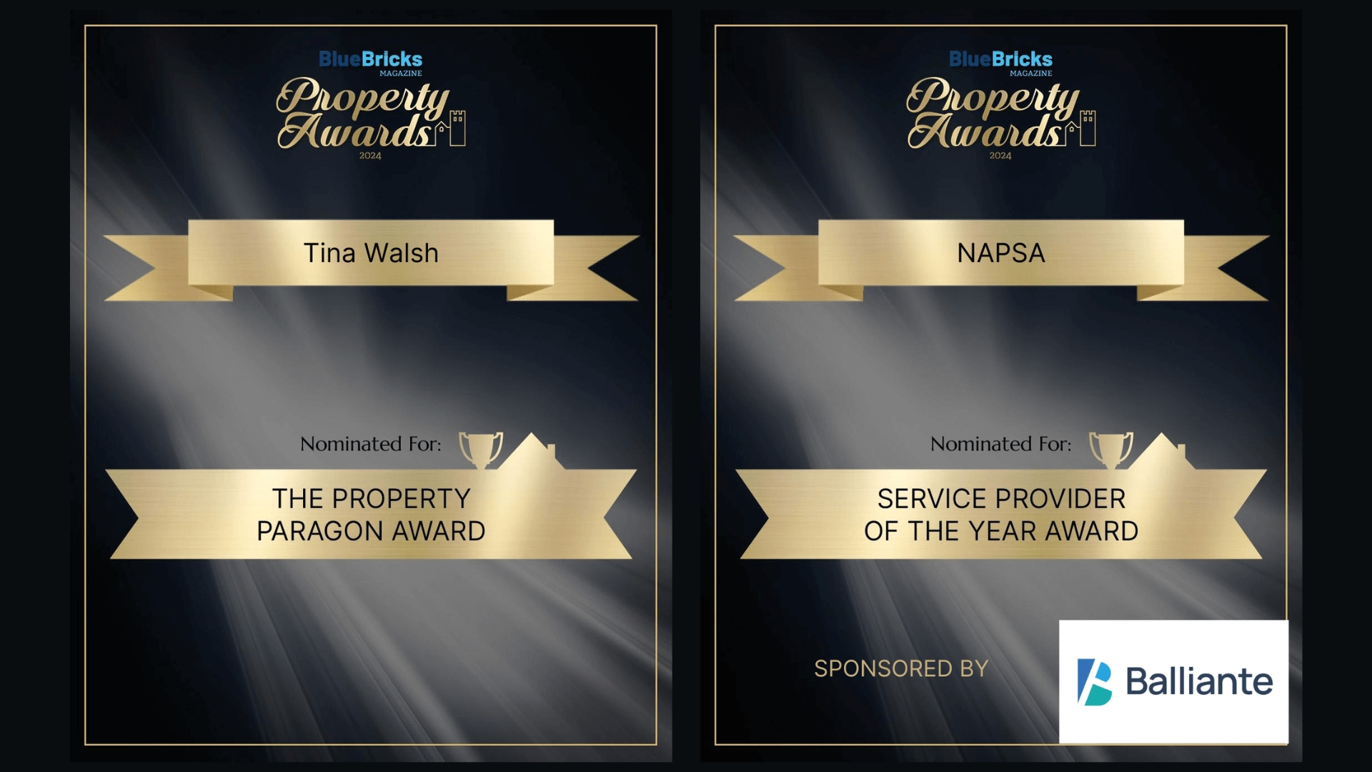 National Association of Professional Sourcing Agents (NAPSA) nominated for Service Provider of the Year Award.
