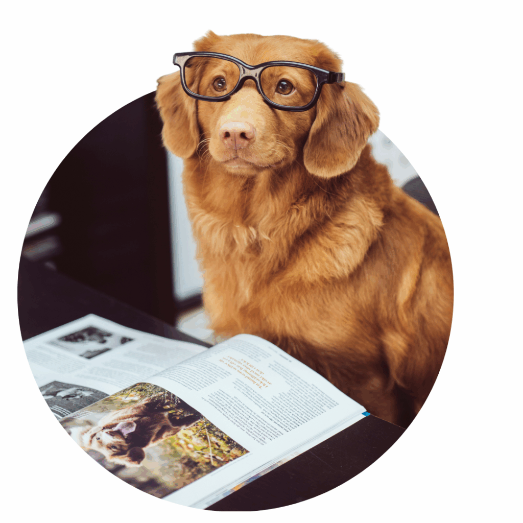 Book Publishing PR | Digital PR Solutions 1 | PR Fire Book Publishing PR