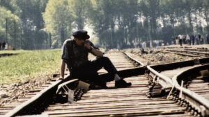 PR Fire Home 5 | PR Fire 2wiw1r2t1j3inefbbf948hfdhssp | PR Fire