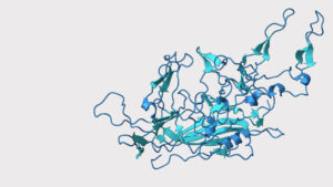 bn7vlusr6oxu0dcoavvrc6wlny2k | PR Fire