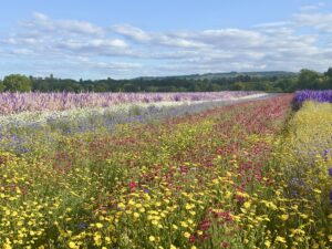 PR Fire Home 4 | PR Fire rpbnl5z6l5g6h16vw23mwm26er5i | PR Fire