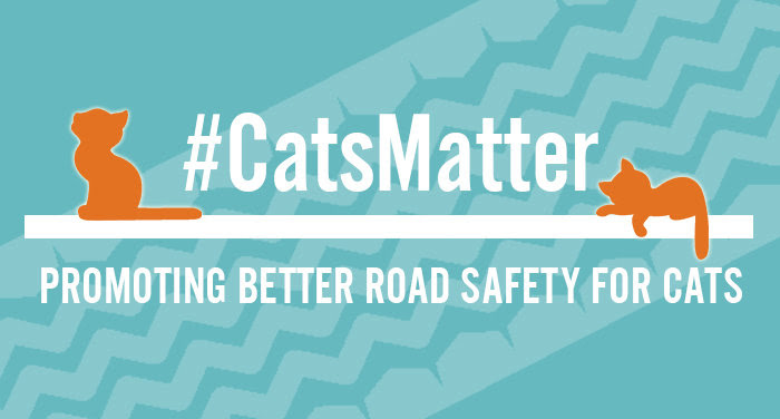 Charity PR Case Study: How Cats Matter Charity Increased Petition Signatures